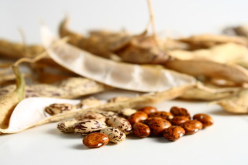 ripe beans on white background