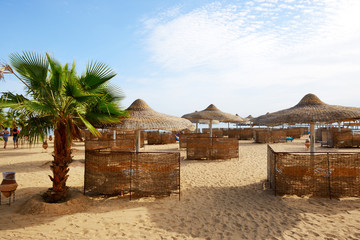 Palm tree on the beach at luxury hotel, Hurghada, Egypt