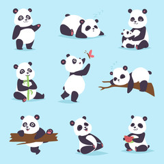 Obraz premium Zestaw wektor Miś Panda.