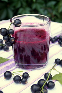 Healthy smoothie from berry of blackcurrant vitamin drink, summer desserts concept