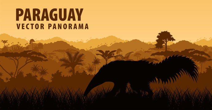 Vector panorama with anteater in Jungle - Paraguay, South America