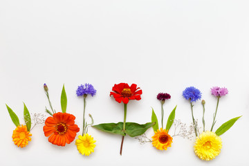 Frame with flowers on white background. Top view, flat lay - 117860846