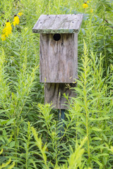 Wooden Bird House Surrounded by Plants in the Outdoors