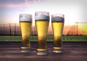 three glasses of beer with hop-garden background - 3D render