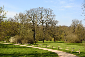 Fototapeta na wymiar City park in spring.