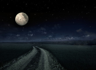 Fototapeta na wymiar Countryroad night bright illuminated large moon