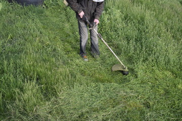 Mowing green grass using a fishing line trimmer