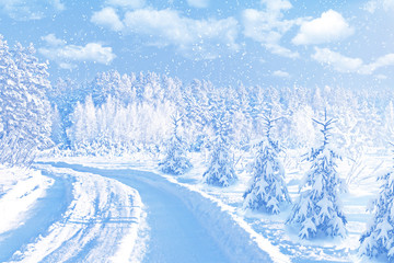  woods. Winter landscape. Snow covered trees. christmas backgrou