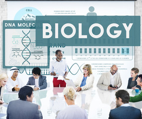 Business Team Meeting Discussion Communication Concept