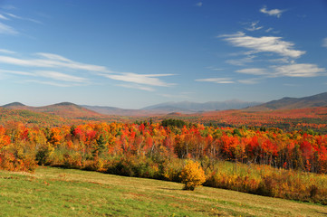 autumn mountain and colorful forest