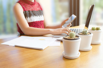 Close-Up cactus  with Business girl using laptop and smart phone for analysis document on wooden desk blur background. soft focus.