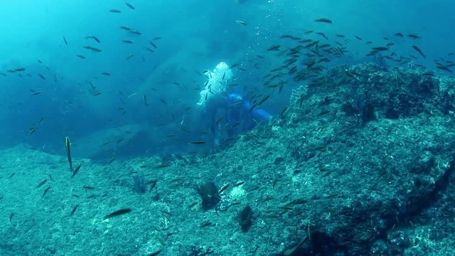 scuba diving in a top marine park