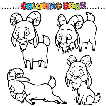Cartoon Coloring Book - Goat