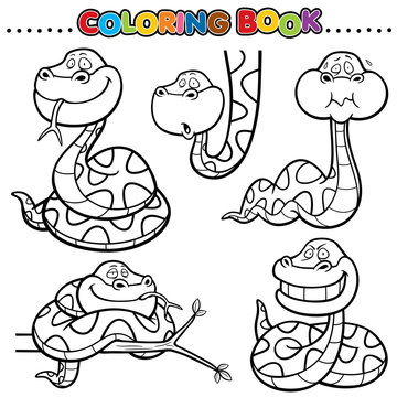 Cartoon Coloring Book - Snake