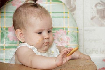 Little child girl sits in a highchair and eats cookies