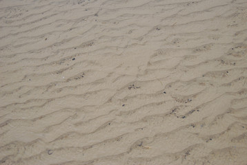 Sand wave and shallow sea