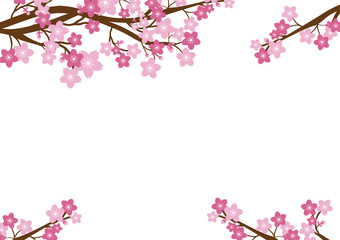 Cherry blossom, Sakura pink flowers background.Vector Card  Illustration.
