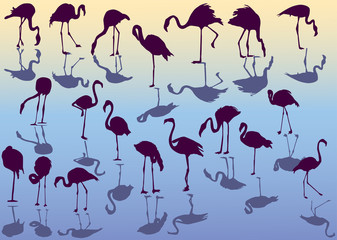 nineteen flamingo silhouettes illustration