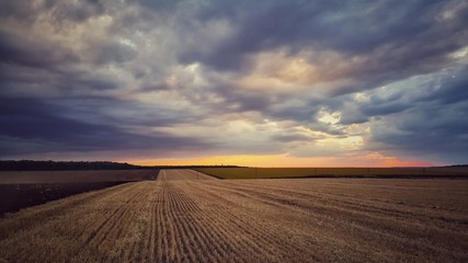 Dramatic cloudscape over wheat field, agriculture concept