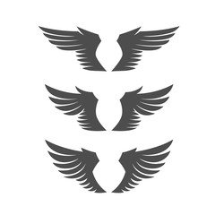 Set of angel wings.