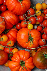Tomatoes in colander