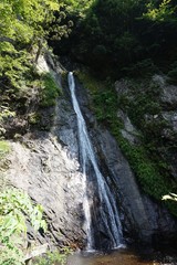 Fototapeta na wymiar 緑と天狗滝の風景（東京都檜原村）