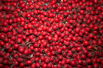 autumn berries