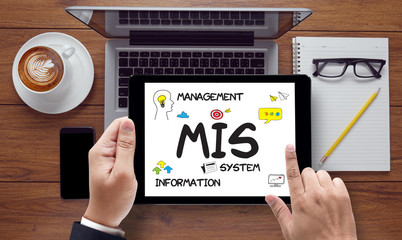 MIS  Management Information System  Data Development Information