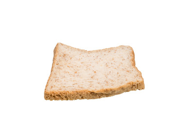 Bread wheat