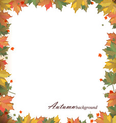 Autumn leaves background 