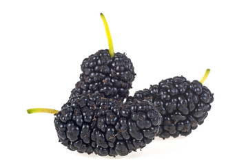 Ripe mulberry on a white background