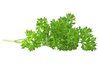 Parsley isolated on white background