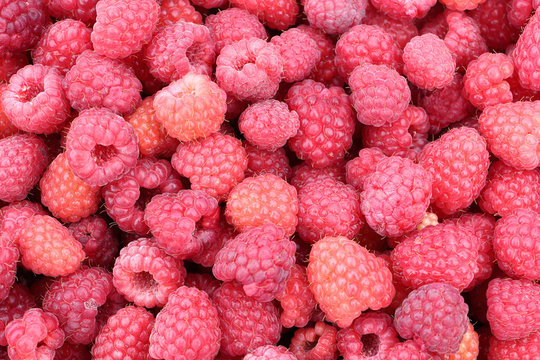 Ripe berries of raspberry, natural background