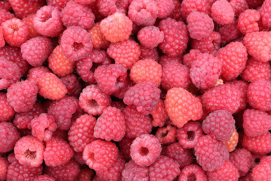 Ripe berries of raspberry, natural background