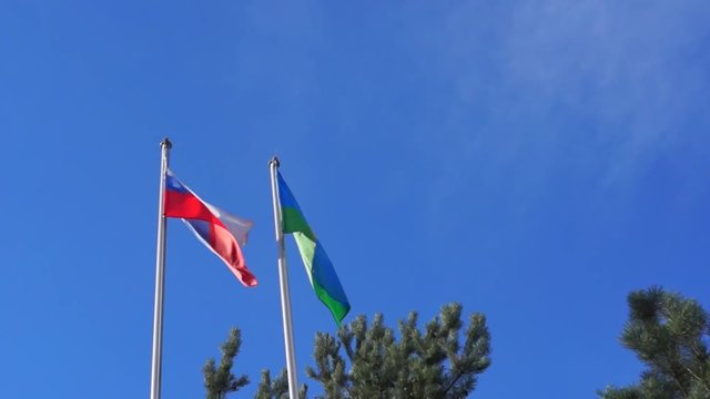 Flags of Russia and VDV on wind