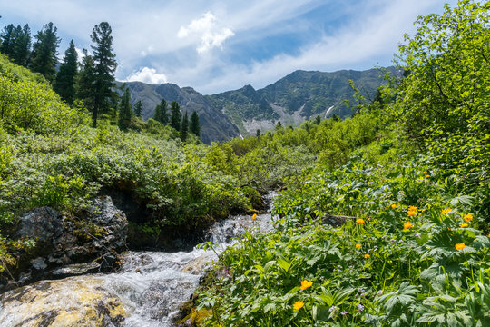mountain stream under the pass Arshansky in Tunka range