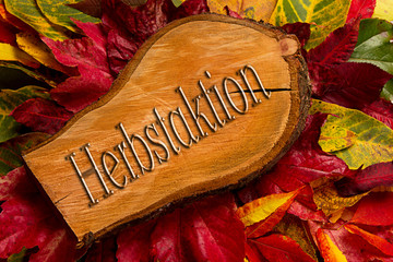 Herbstaktion