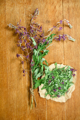 Fireweed.Dried herbs. Herbal medicine, phytotherapy medicinal he