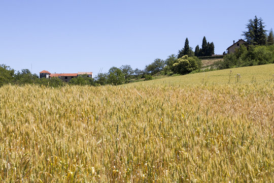 Cavatore Images Browse 44 Stock Photos, Vectors, and Video Adobe Stock