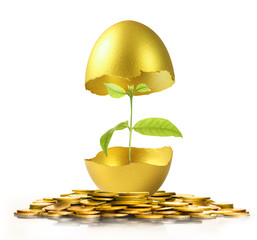 golden  easter egg isolated