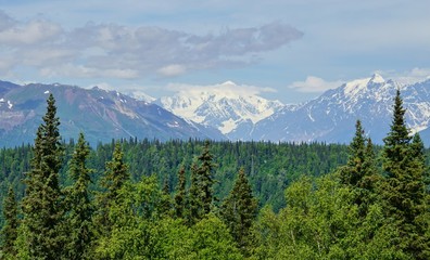 Mount Denali McKinley Alaska 
