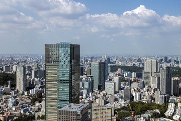 Fototapeta na wymiar modern cityscape, overlook from skyscraper, tokyo, japan