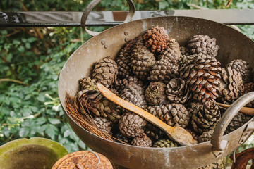 Pine cones in a rusty iron pan Ideas to decorate vintage style