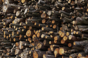 the chopped firewood