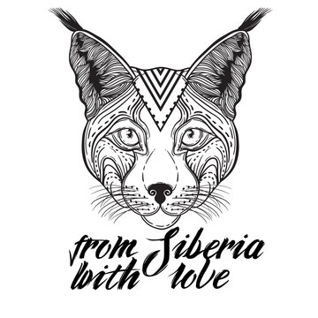 Vector Illustration of an Ornamental Ethnic Lynx Head. head Siberian lynx. suitable for logo print T-shirt
