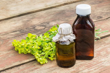 Medicinal plant Euphorbia esula and pharmaceutical bottle