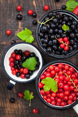 Fresh delicious organic red and black currants