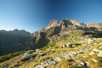 Trail in the valley leading to the peak in the Carpathian Mountains