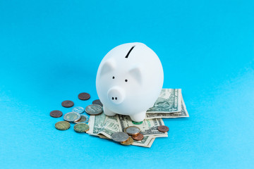 White piggy bank and US dollars