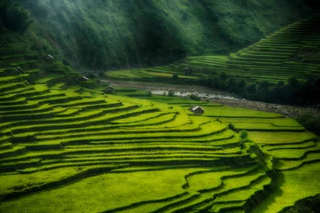 Printed roller blinds Rice fields Rice fields on terraced